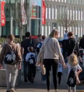 vfb